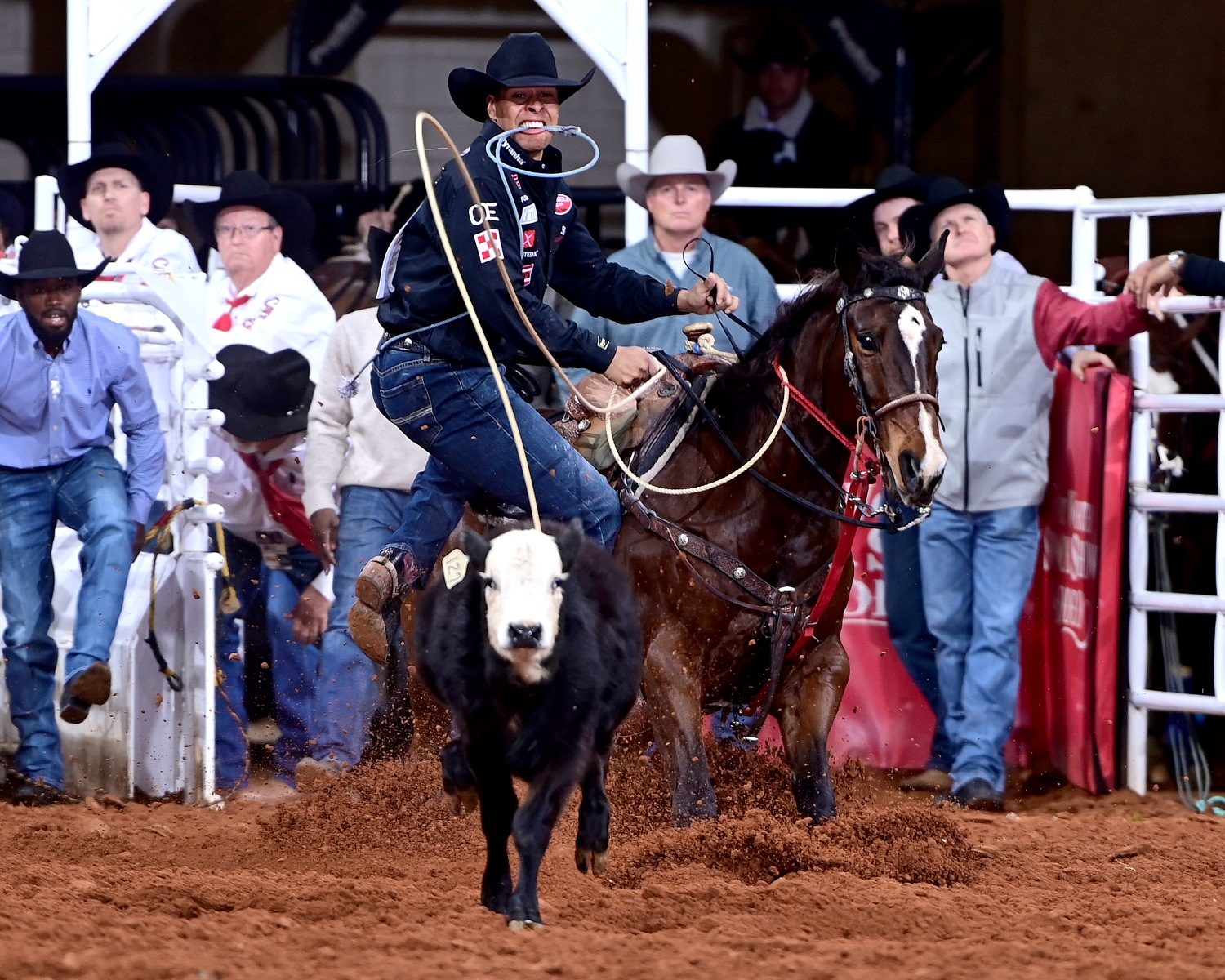 Cavaleiro com laço saindo atrás de um bezerro numa prova de calf roping