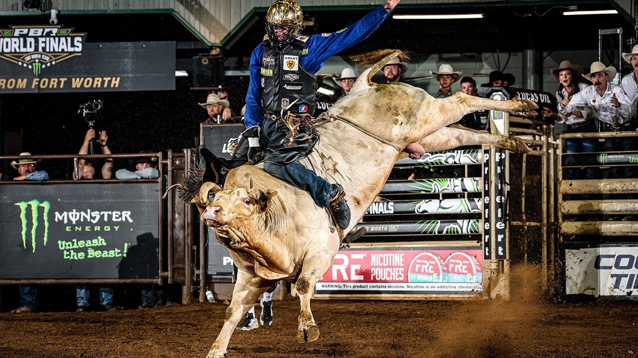 Montaria em touro na PBR World Finals, em Fort Worth